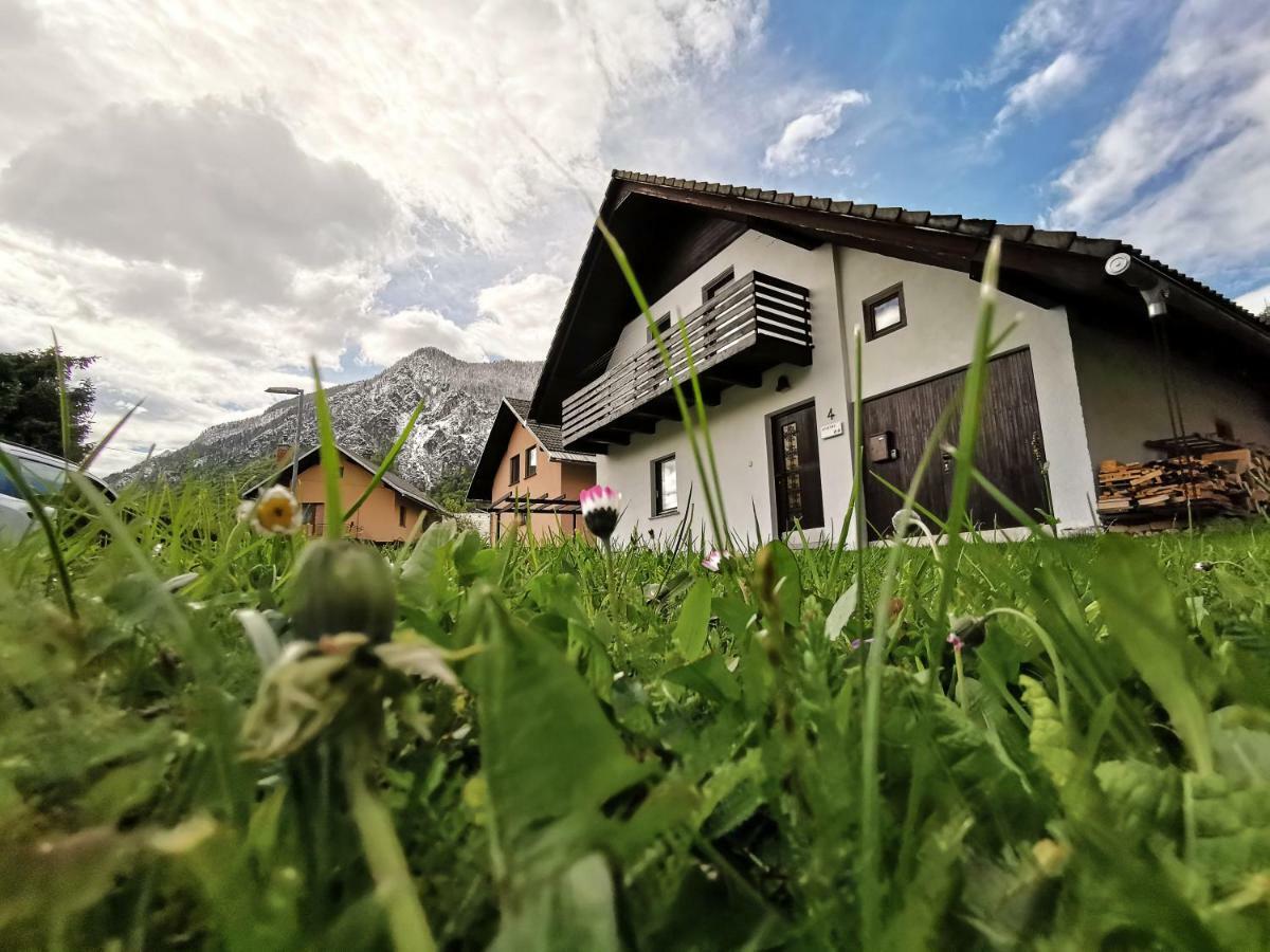 House Veliki Breg